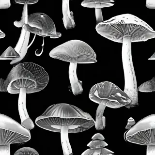mushroom black and white