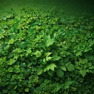green wallpaper iphone
