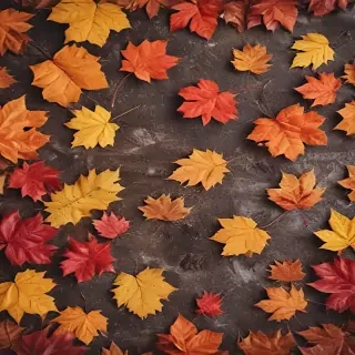 fall background wallpaper iphone