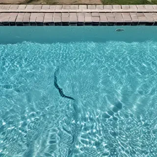 pool backround