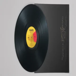vinyl record png