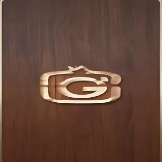 ig logo