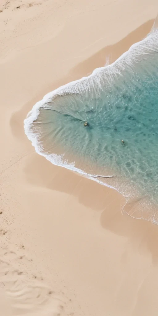 beach transparent
