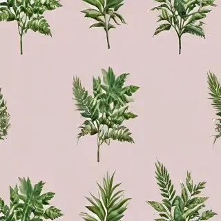plants transparent background