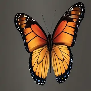 butterfly clipart png