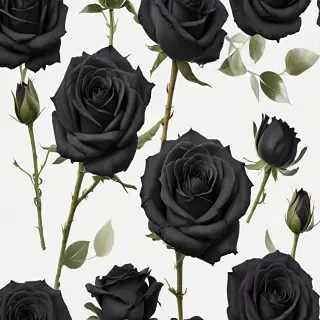 black roses png