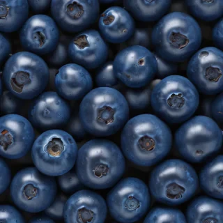 blueberry png