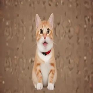 funny background pics