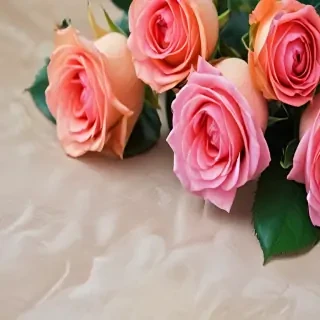 roses in background