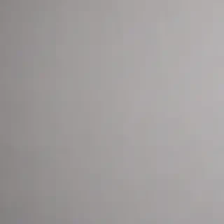 plain grey background
