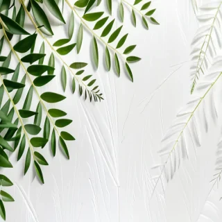 white and greenery background