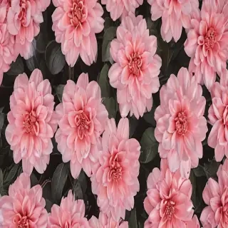 flower aesthetic