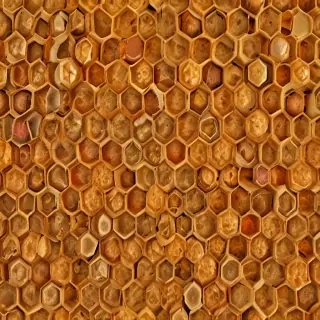 honeycomb png