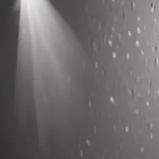 spotlight transparent