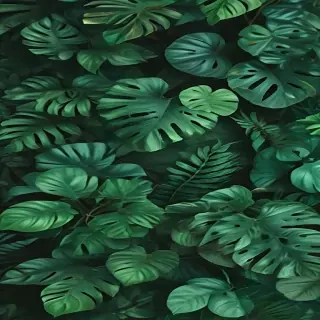 green backgrounds aesthetic