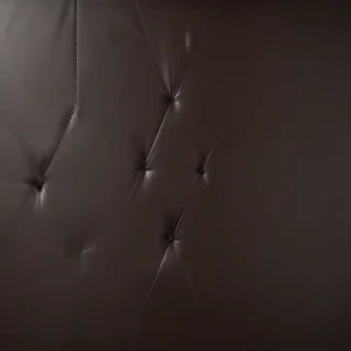 leather background
