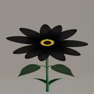 black flower png
