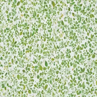 background white and green