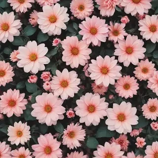 cute aesthetic flower wallpaper