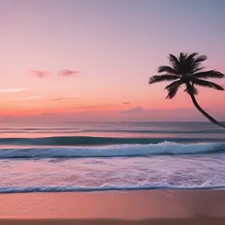 aesthetic wallpapers beach
