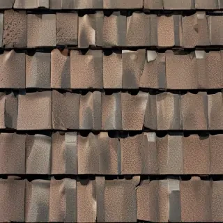 picture of shingles