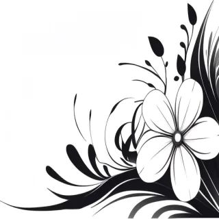 black and white flower png