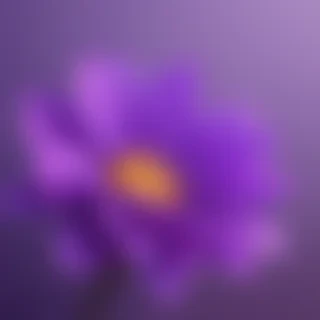 cute purple wallpaper for iphone