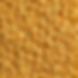 macaroni and cheese png