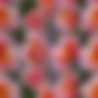 aesthic flower