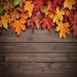fall background wallpaper iphone