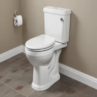 toilet png