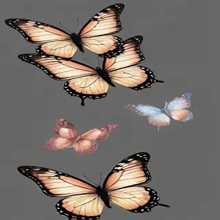 butterfly background transparent