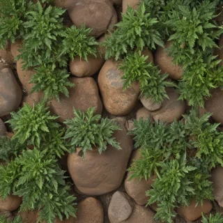 pot images