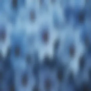 blue flower wallpaper aesthetic