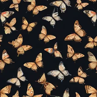 butterfly background transparent
