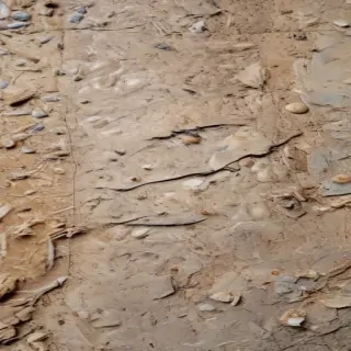 scratchy texture