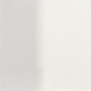 white fabric texture