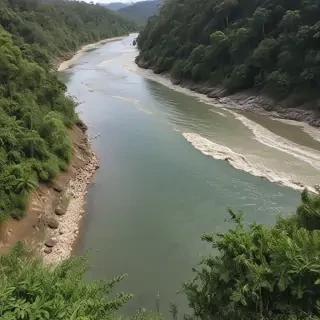 png river