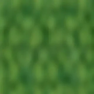 leaf background green