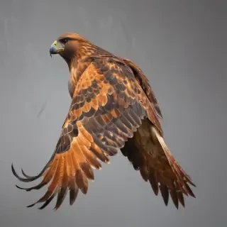 hawk png