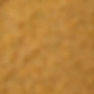 ramen noodles png