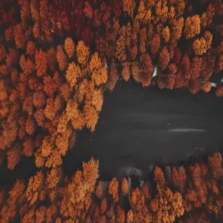 fall wallpaper iphone aesthetic