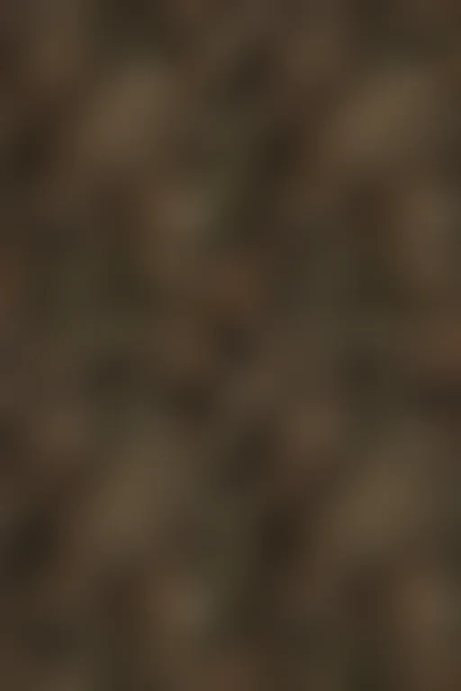 camo png