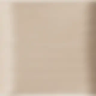bandages png