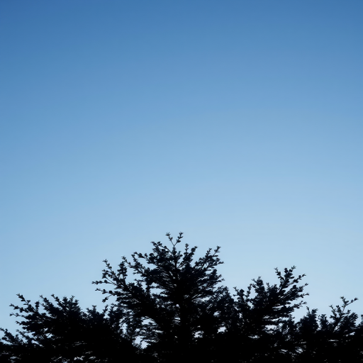 a minimalist black silhouette of a tree in a clear blue sky, 50mm lens, f/2.8 aperture, ISO 100, golden hour lighting, taken with a DSLR camera, overhead view