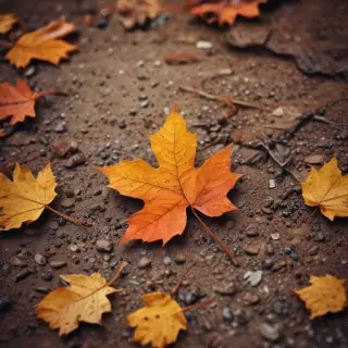 iphone wallpaper fall