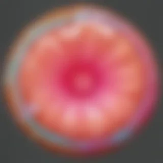 png candy