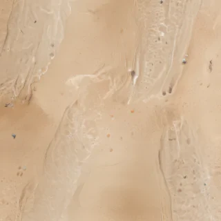 beach transparent