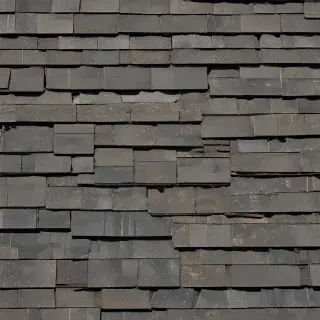pictures of shingles