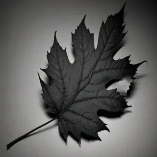 leaf images black and white
